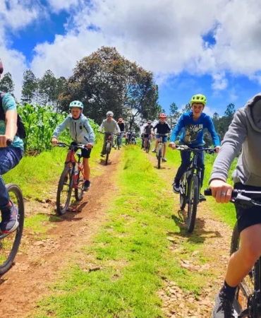 Familiar Mtb Chiapas